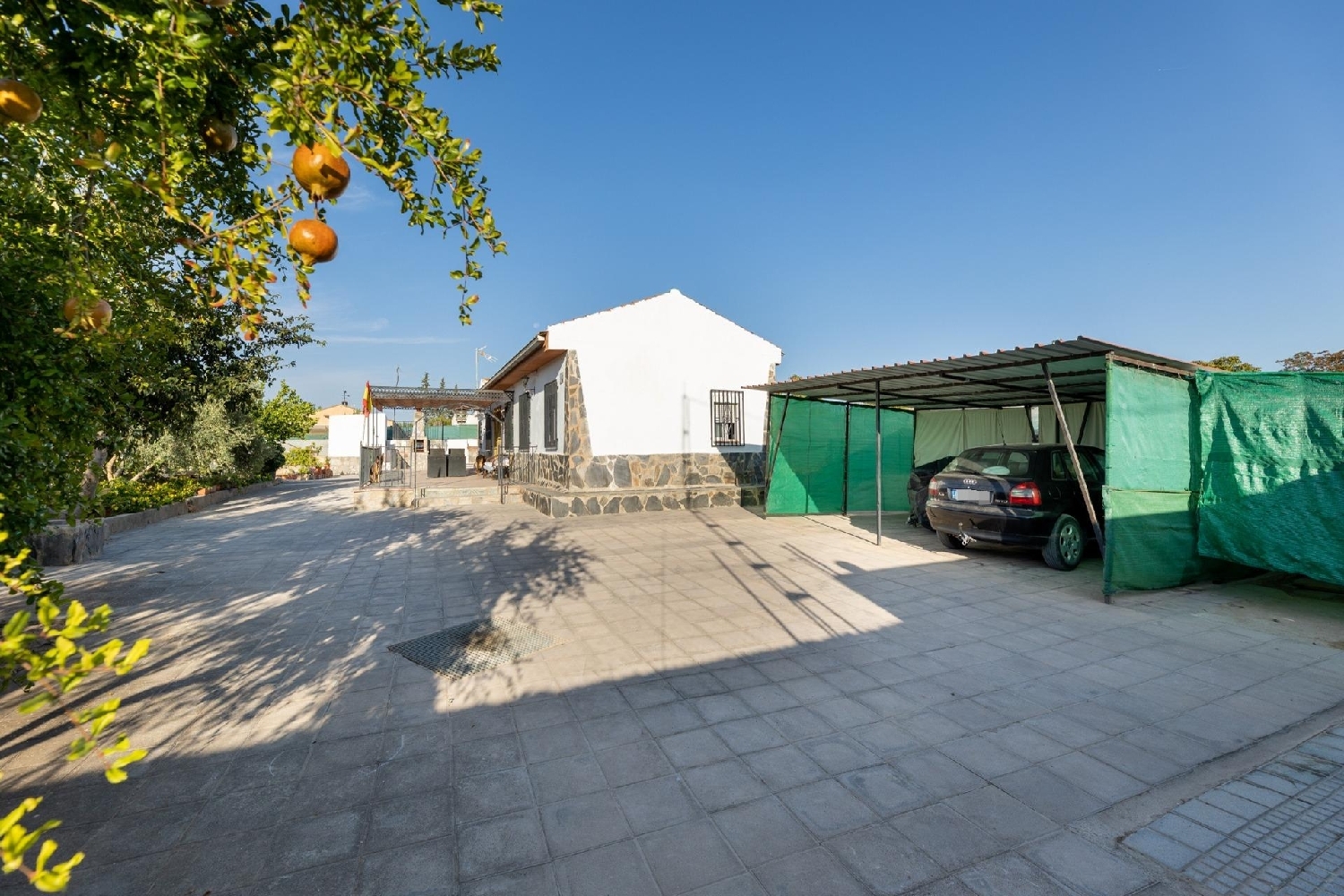  en venta finca rústica Moraleda De Zafayona Loja 3