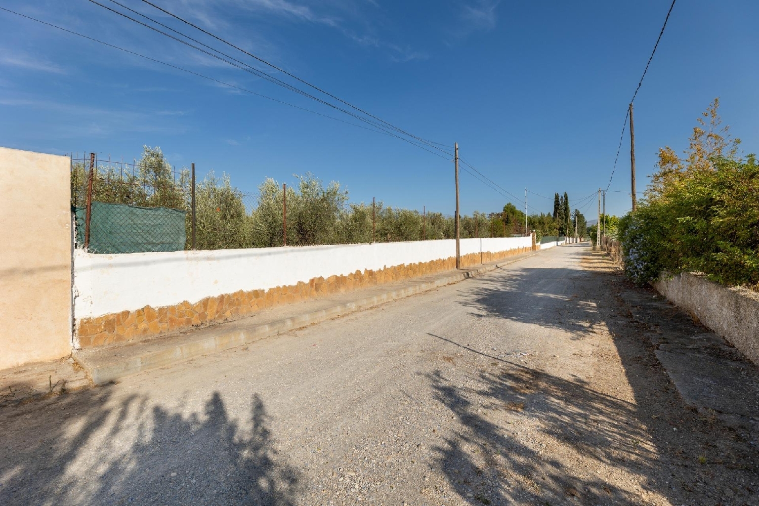  en venta finca rústica Moraleda De Zafayona Loja 2