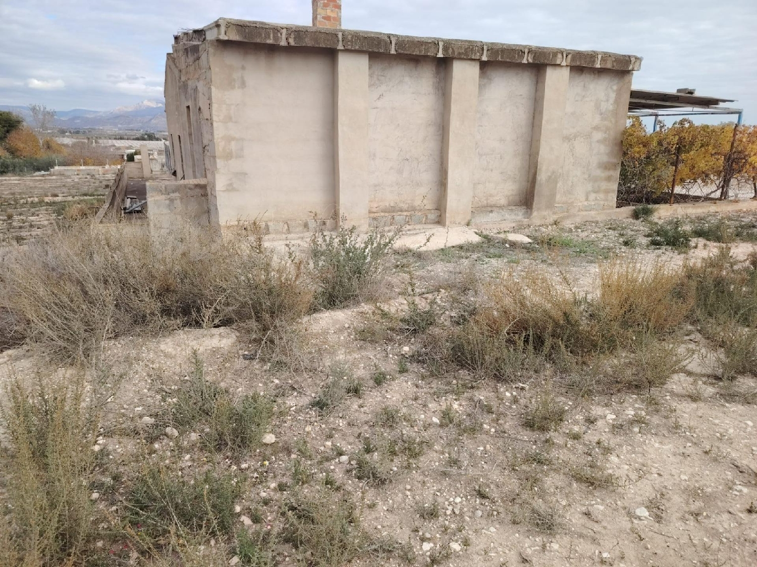  à vendre maison de campagne Novelda Vinalopó Mitjà 2