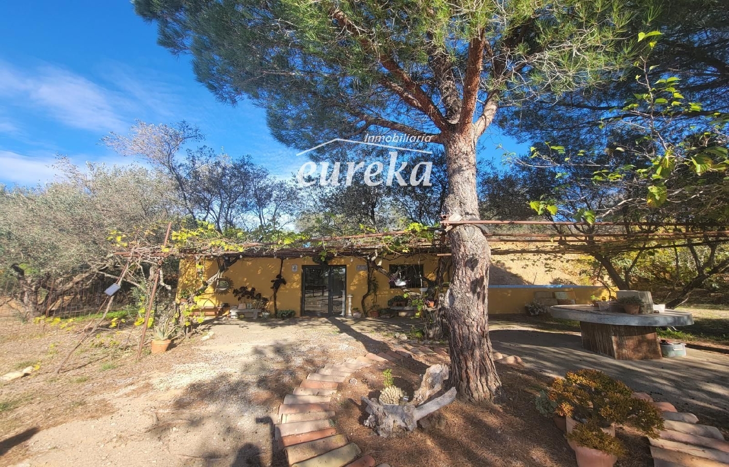  kaufen Landhaus Peralada Alt Empordà 5