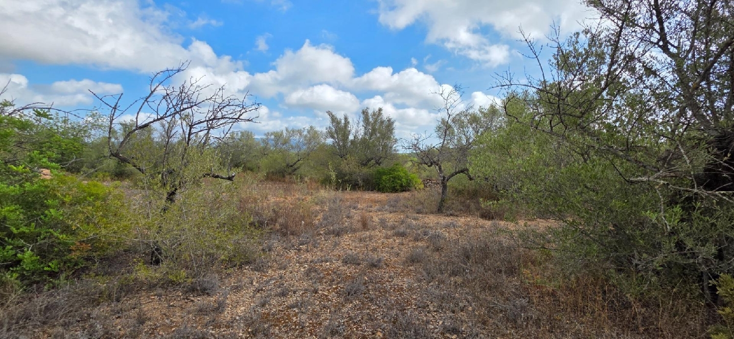  till salu hus på landet Perelló Gironès 3