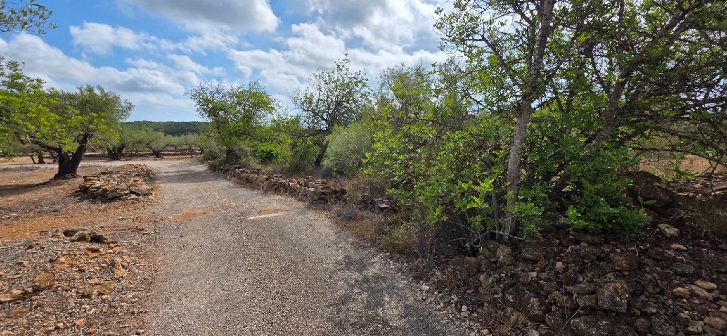  till salu hus på landet Perelló Gironès 1
