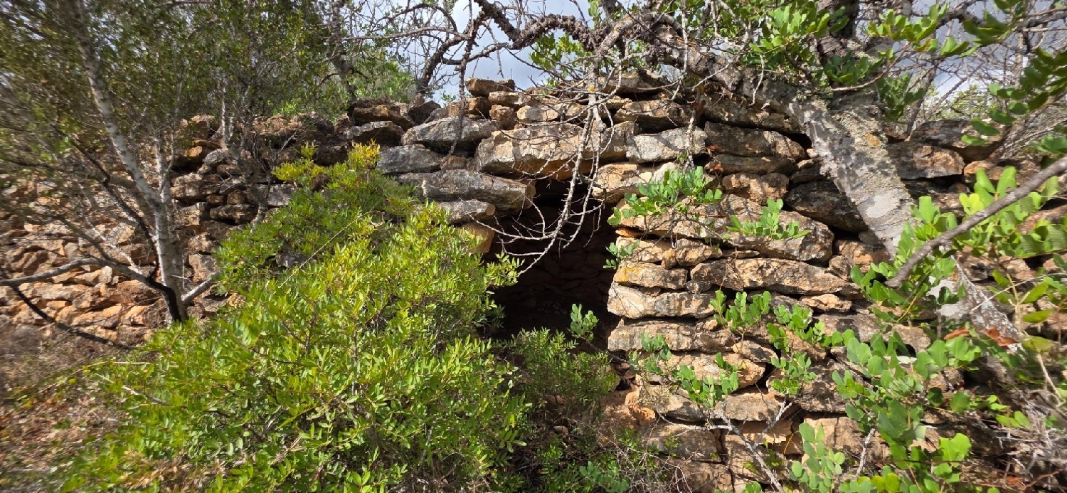  till salu hus på landet Perelló Gironès 6