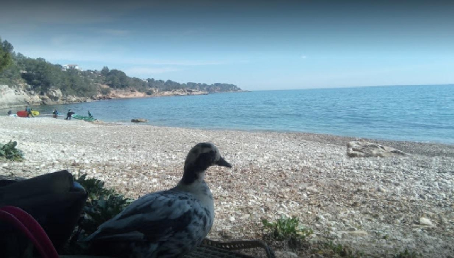  till salu hus på landet Perelló Gironès 7