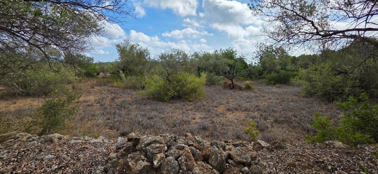  till salu hus på landet Perelló Gironès 5