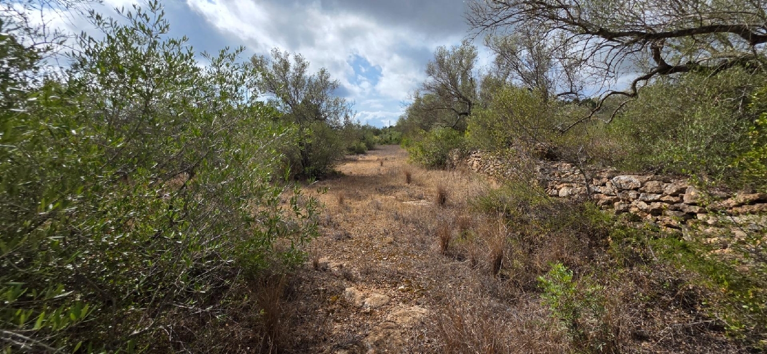  till salu hus på landet Perelló Gironès 4