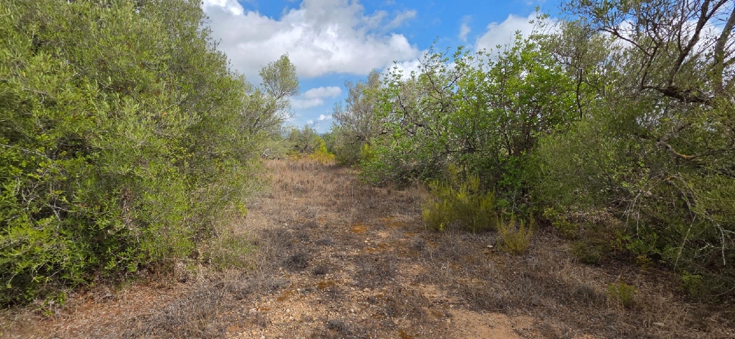  till salu hus på landet Perelló Gironès 2