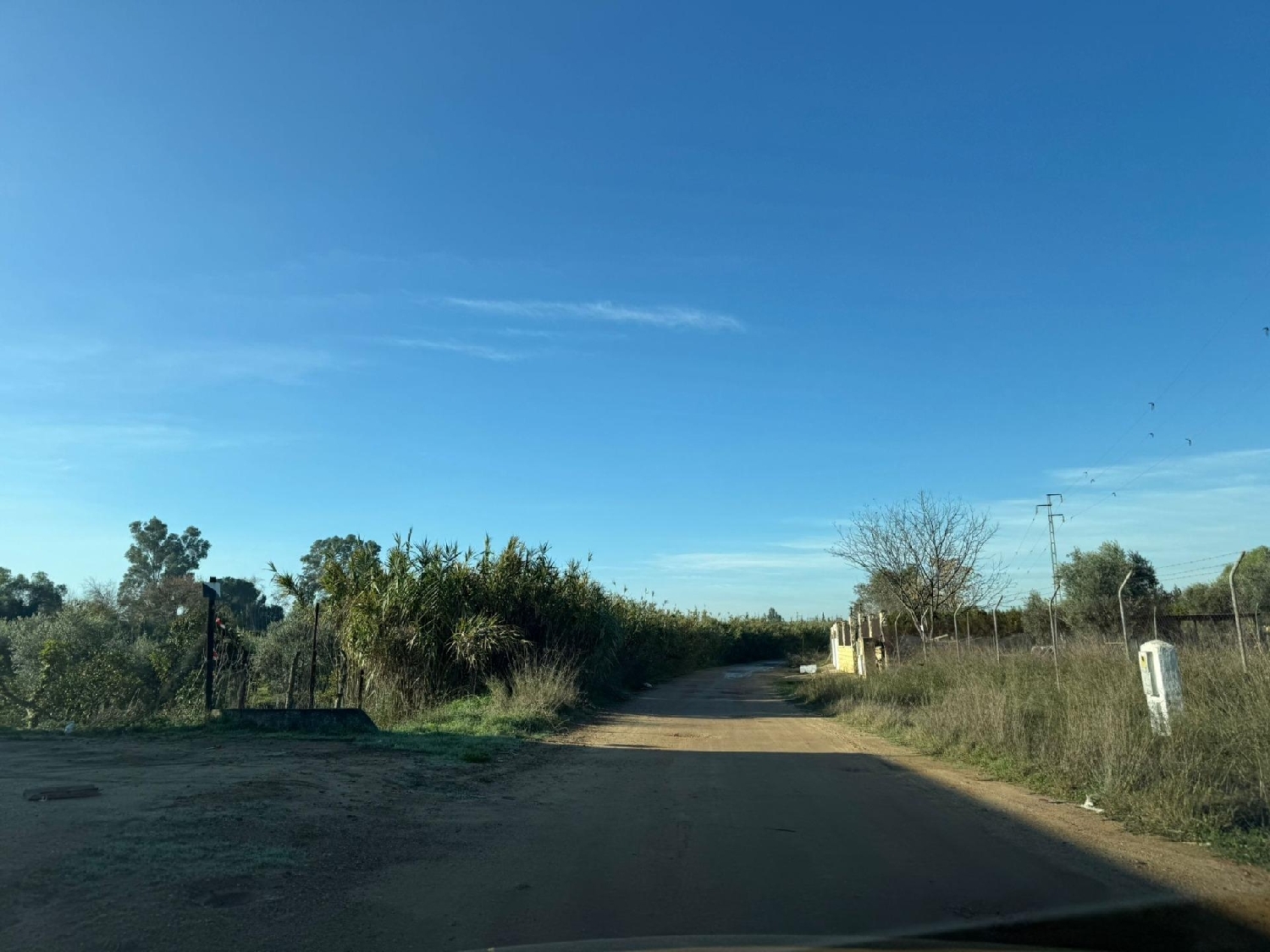 till salu hus på landet Pilas Aljarafe 4