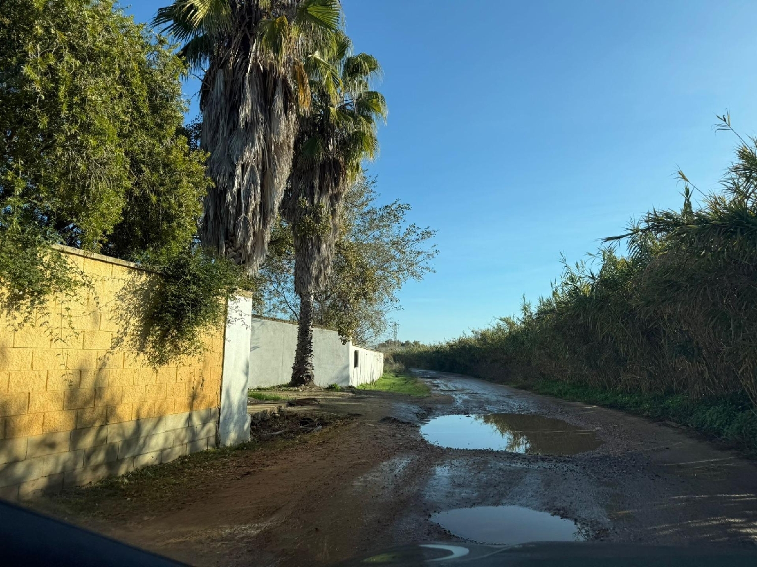 till salu hus på landet Pilas Aljarafe 7