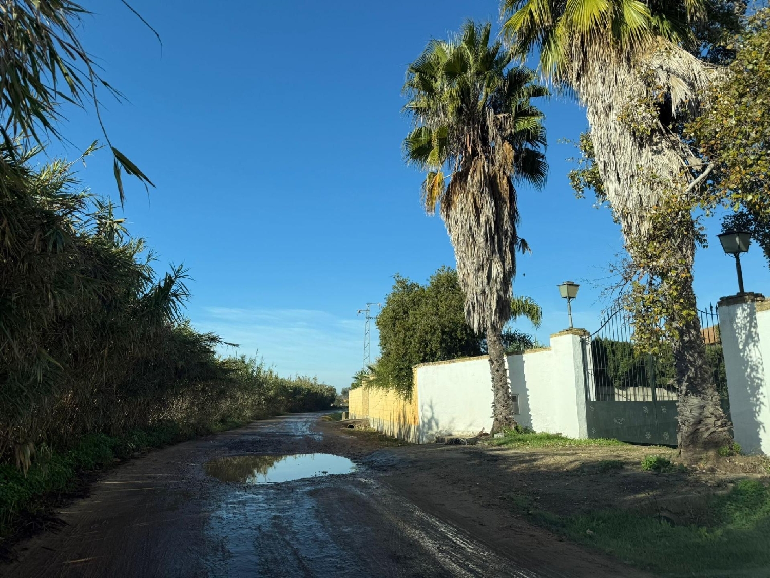 till salu hus på landet Pilas Aljarafe 5