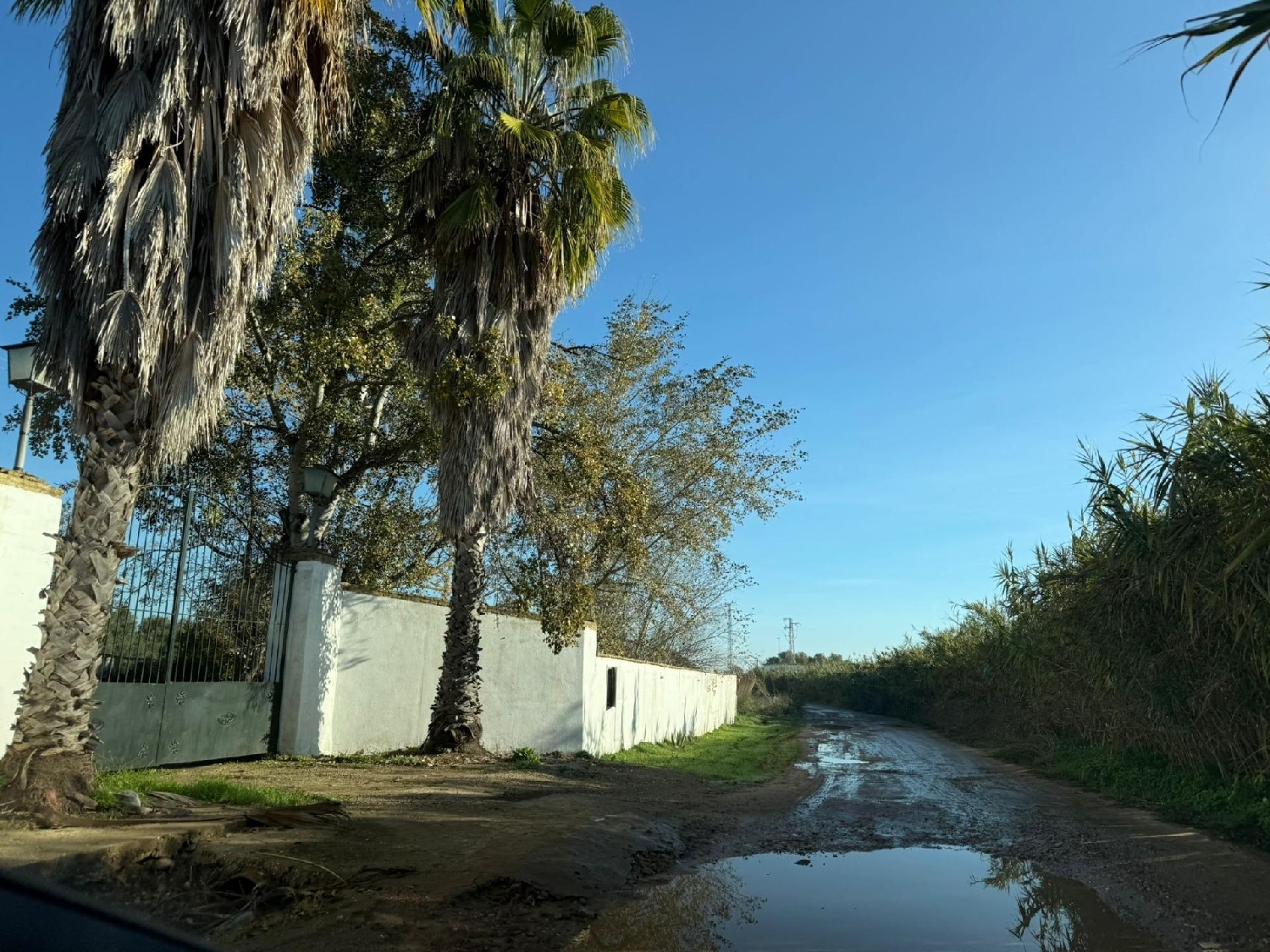 till salu hus på landet Pilas Aljarafe 6