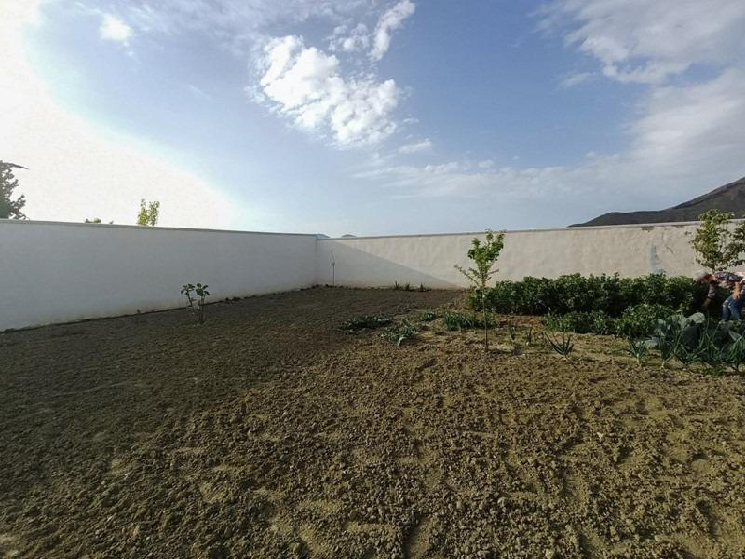  for sale country house Pinos Puente Vega De Granada 3