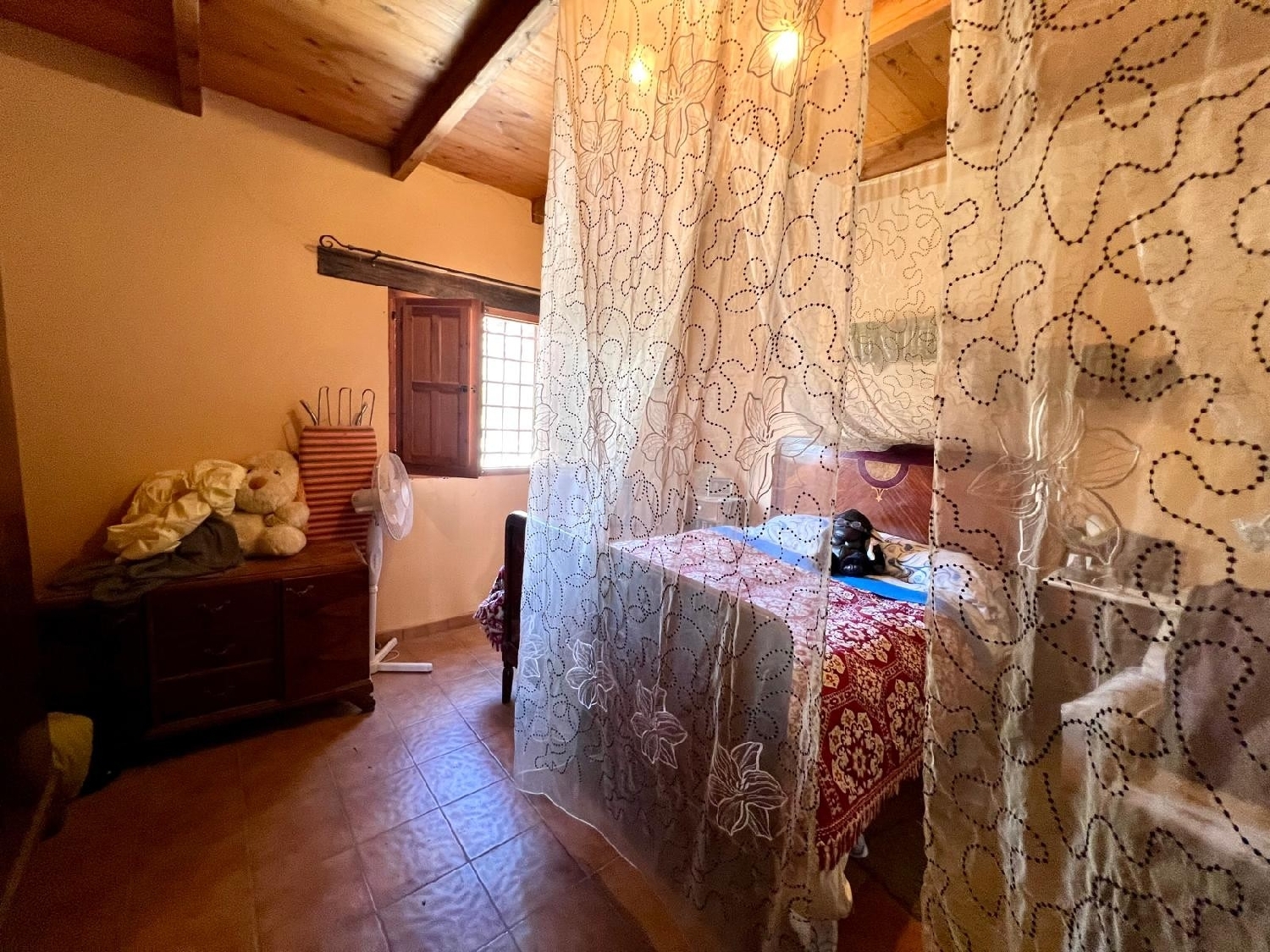  for sale country house Pinoso Vinalopó Mitjà 7