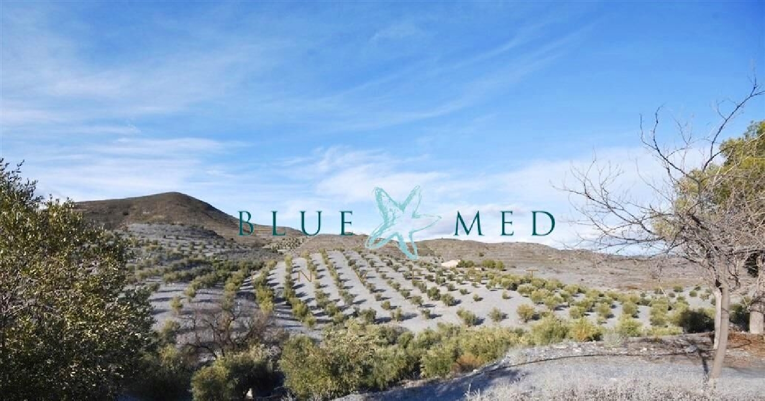  till salu hus på landet Porcariza Arzúa 2