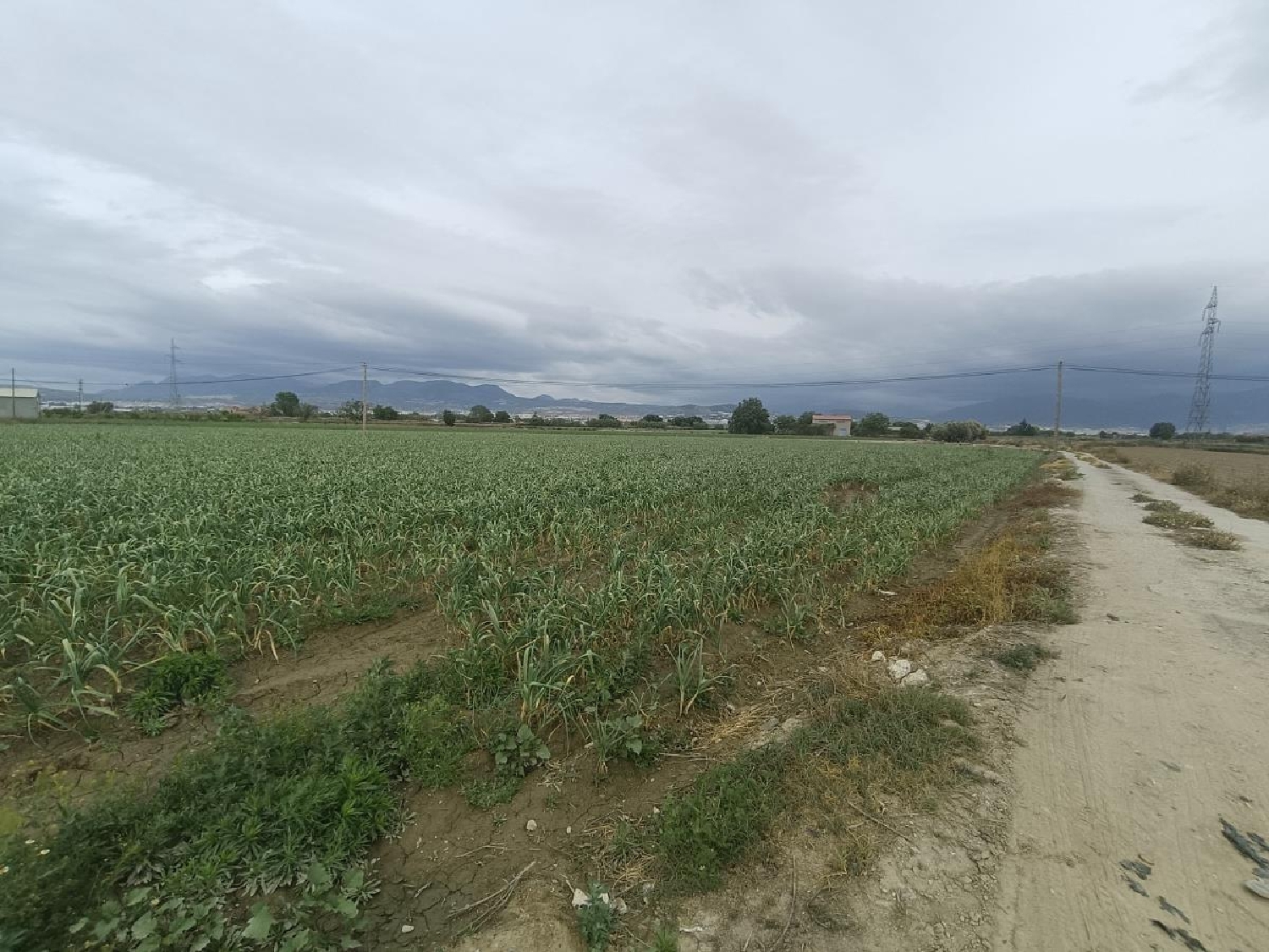  for sale country house Purchil Vega De Granada 7