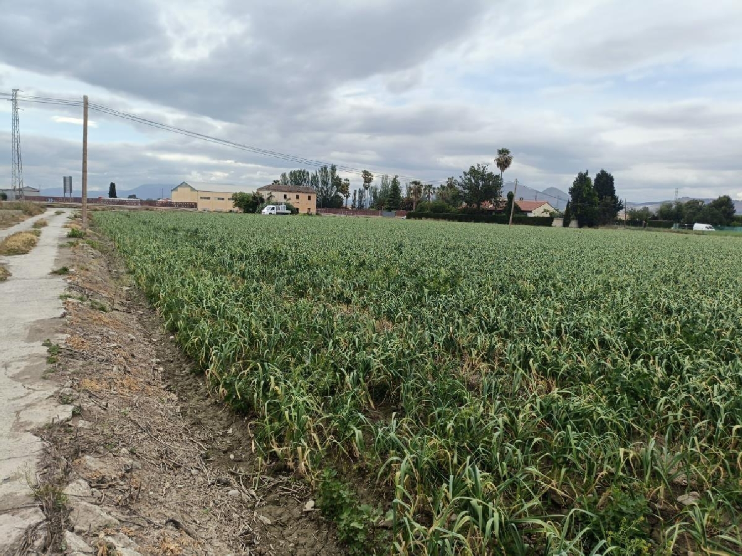  for sale country house Purchil Vega De Granada 1