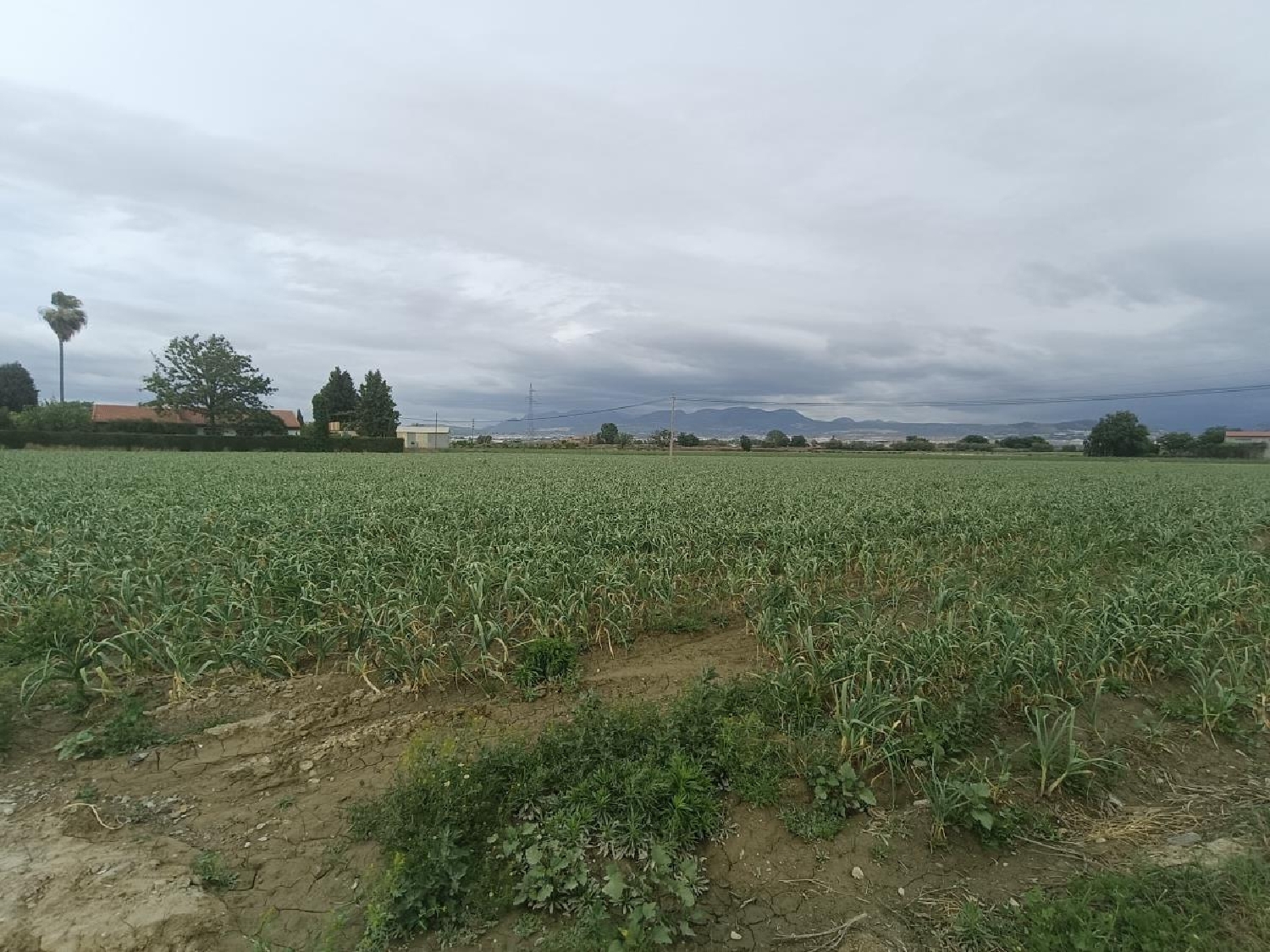  for sale country house Purchil Vega De Granada 5