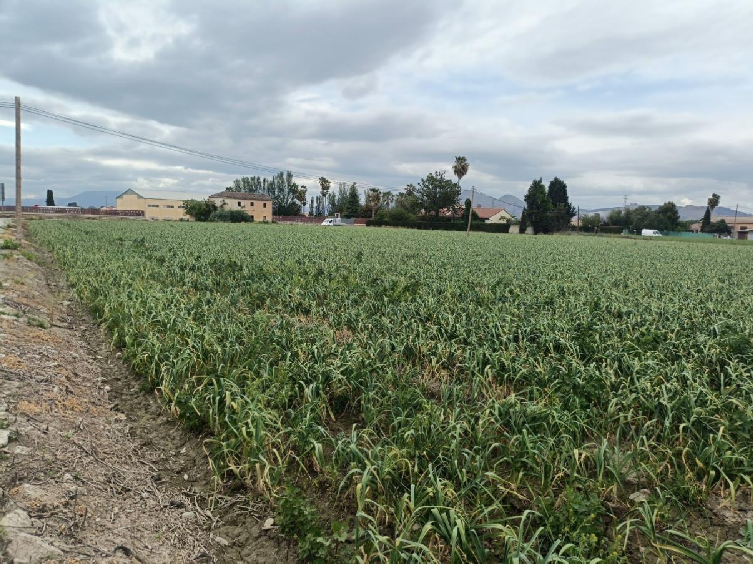  for sale country house Purchil Vega De Granada 2