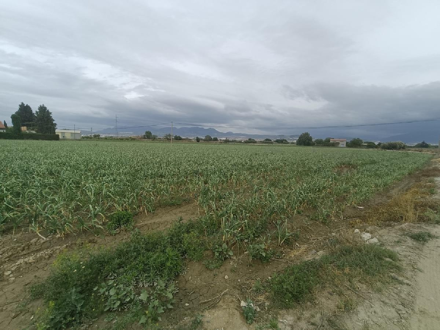  for sale country house Purchil Vega De Granada 8