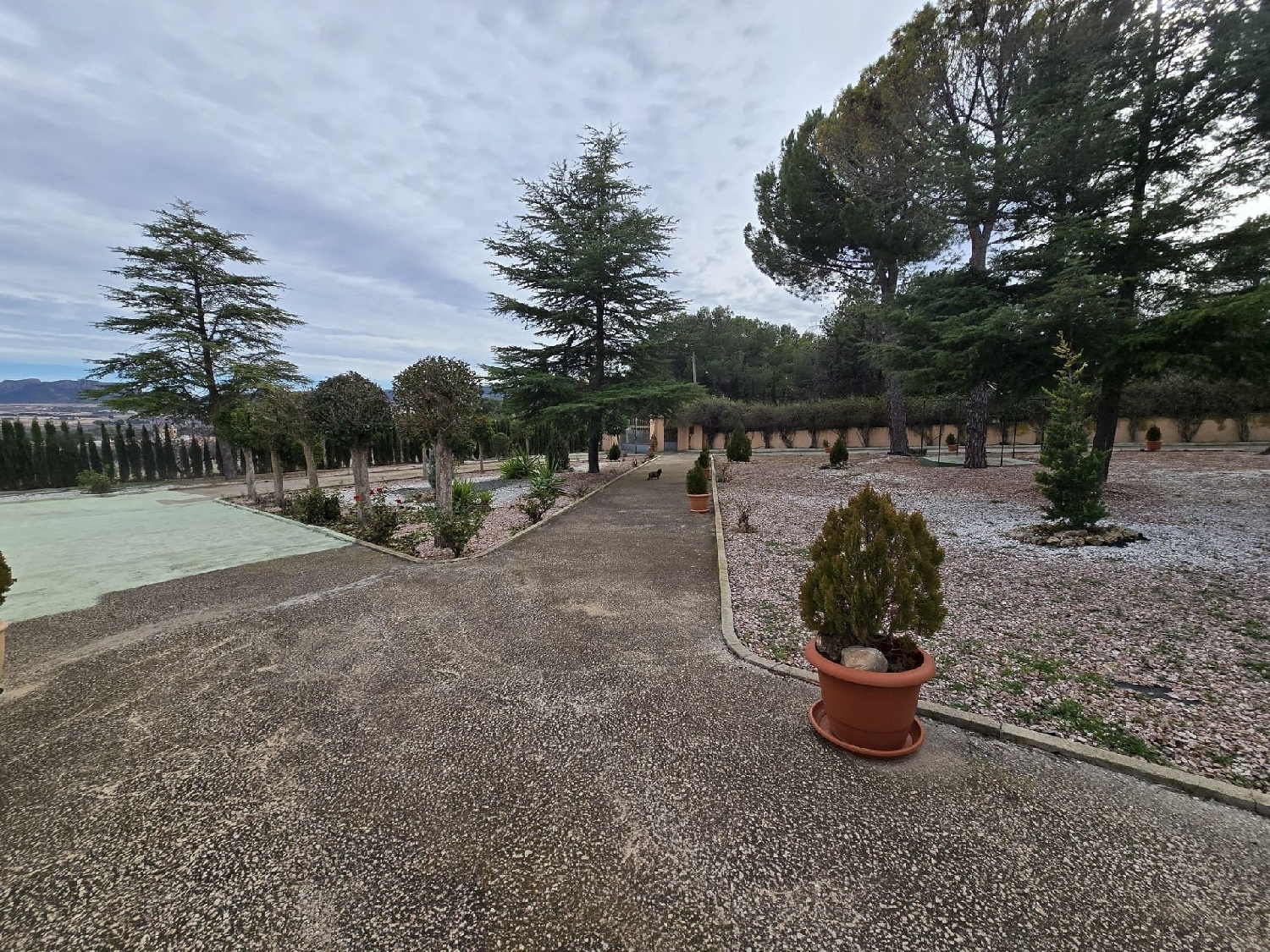  à vendre maison de campagne Salinas Alt Vinalopó 14