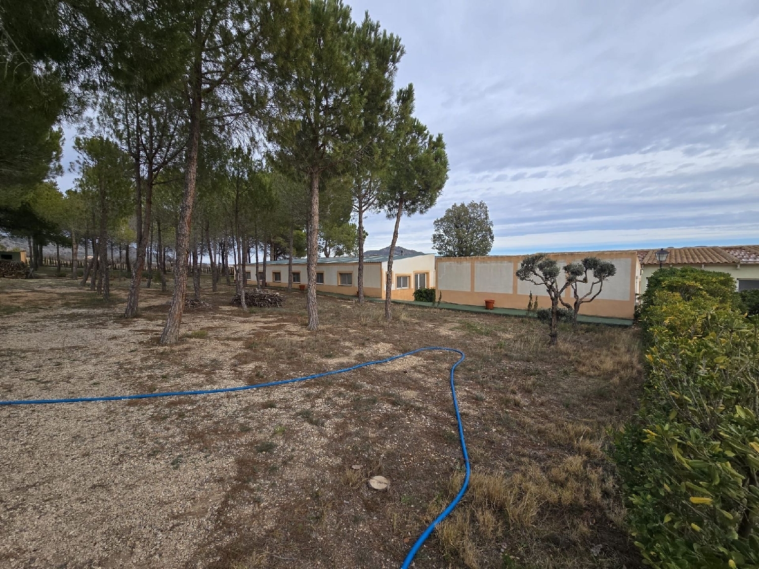  à vendre maison de campagne Salinas Alt Vinalopó 25