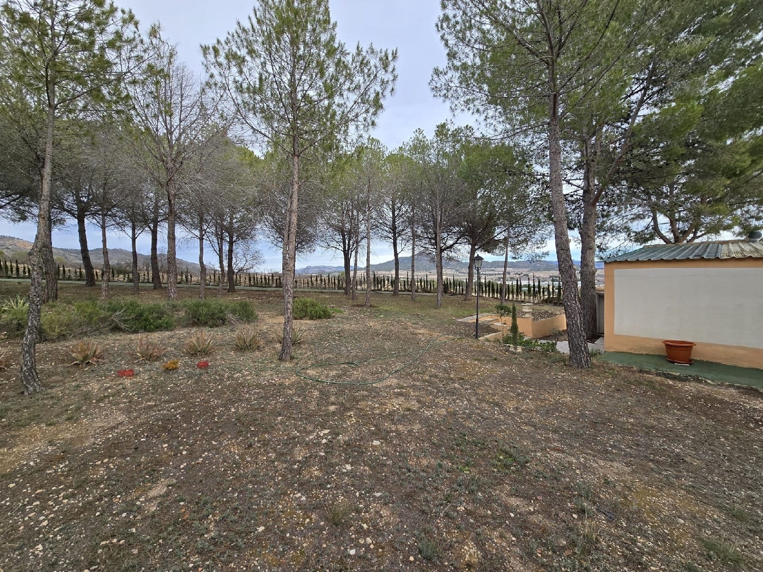  à vendre maison de campagne Salinas Alt Vinalopó 21