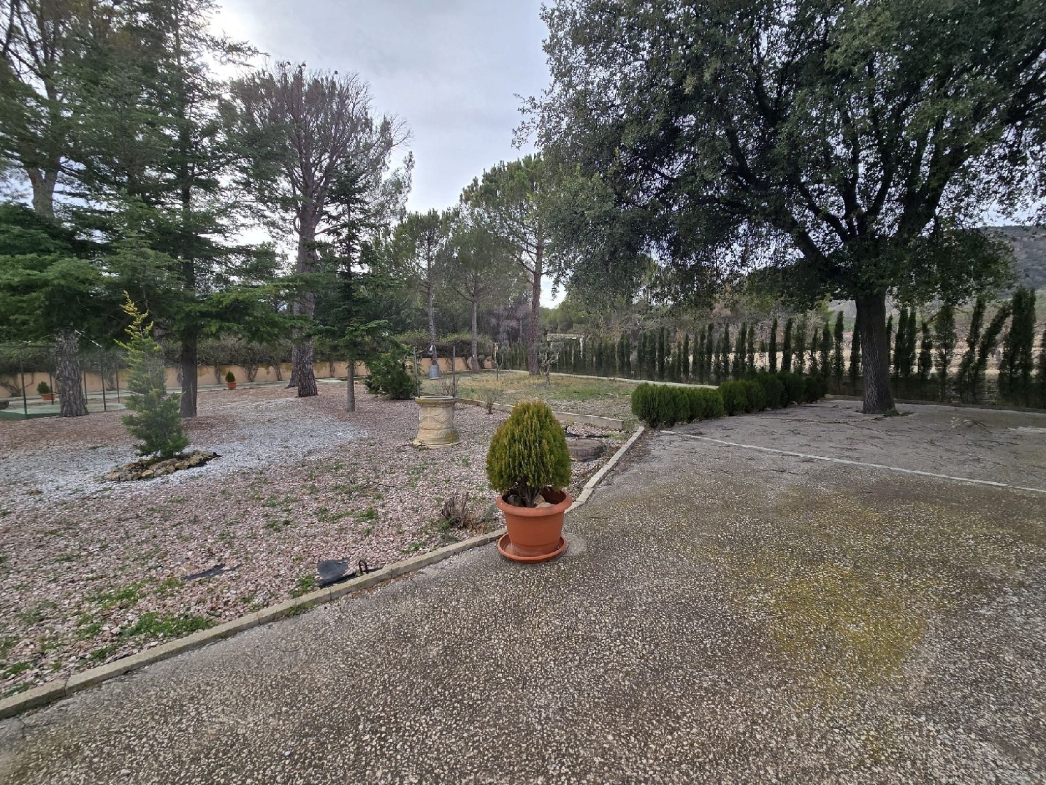  à vendre maison de campagne Salinas Alt Vinalopó 16