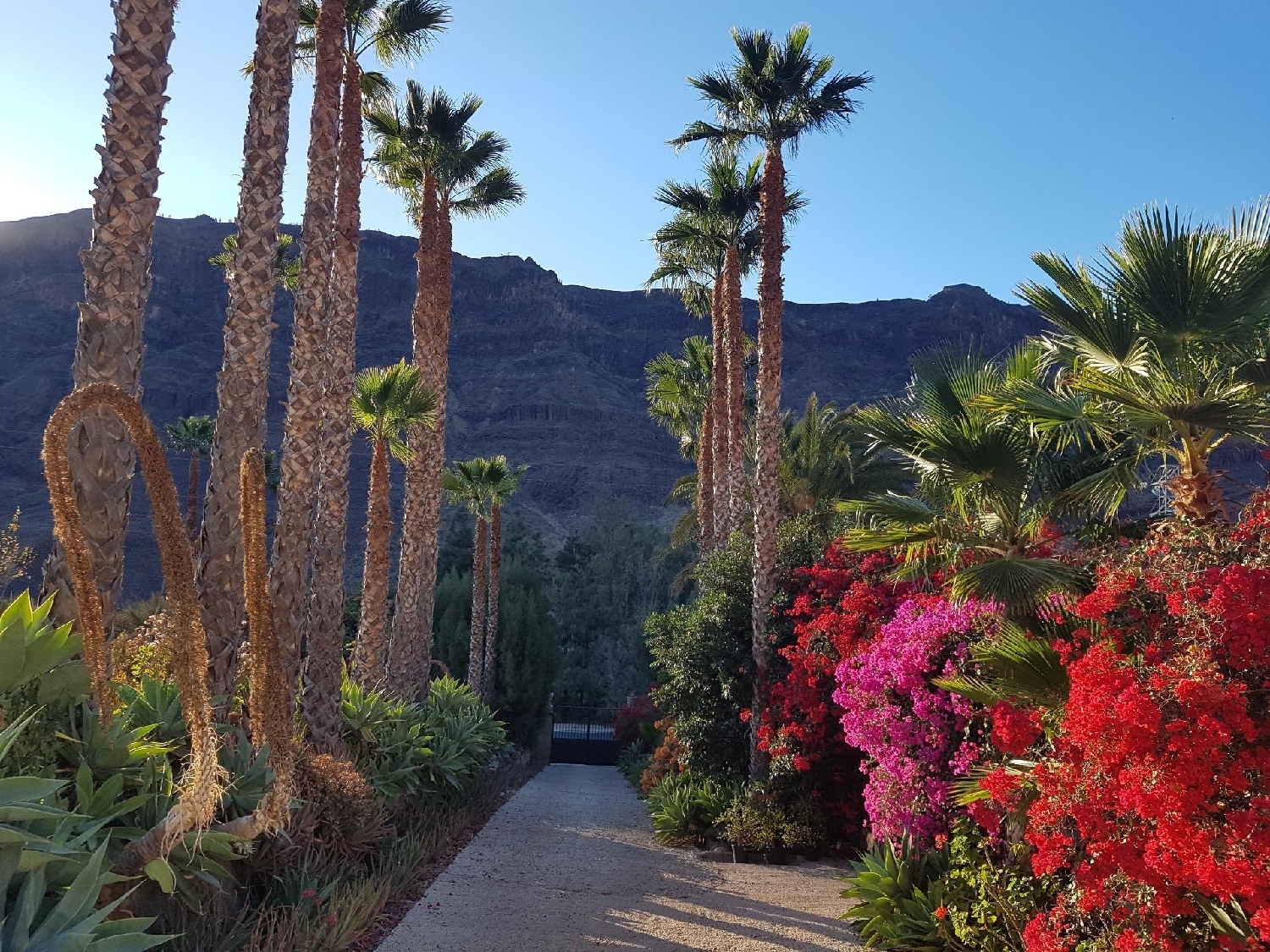  till salu hus på landet San Bartolomé De Tirajana Área Sur 1