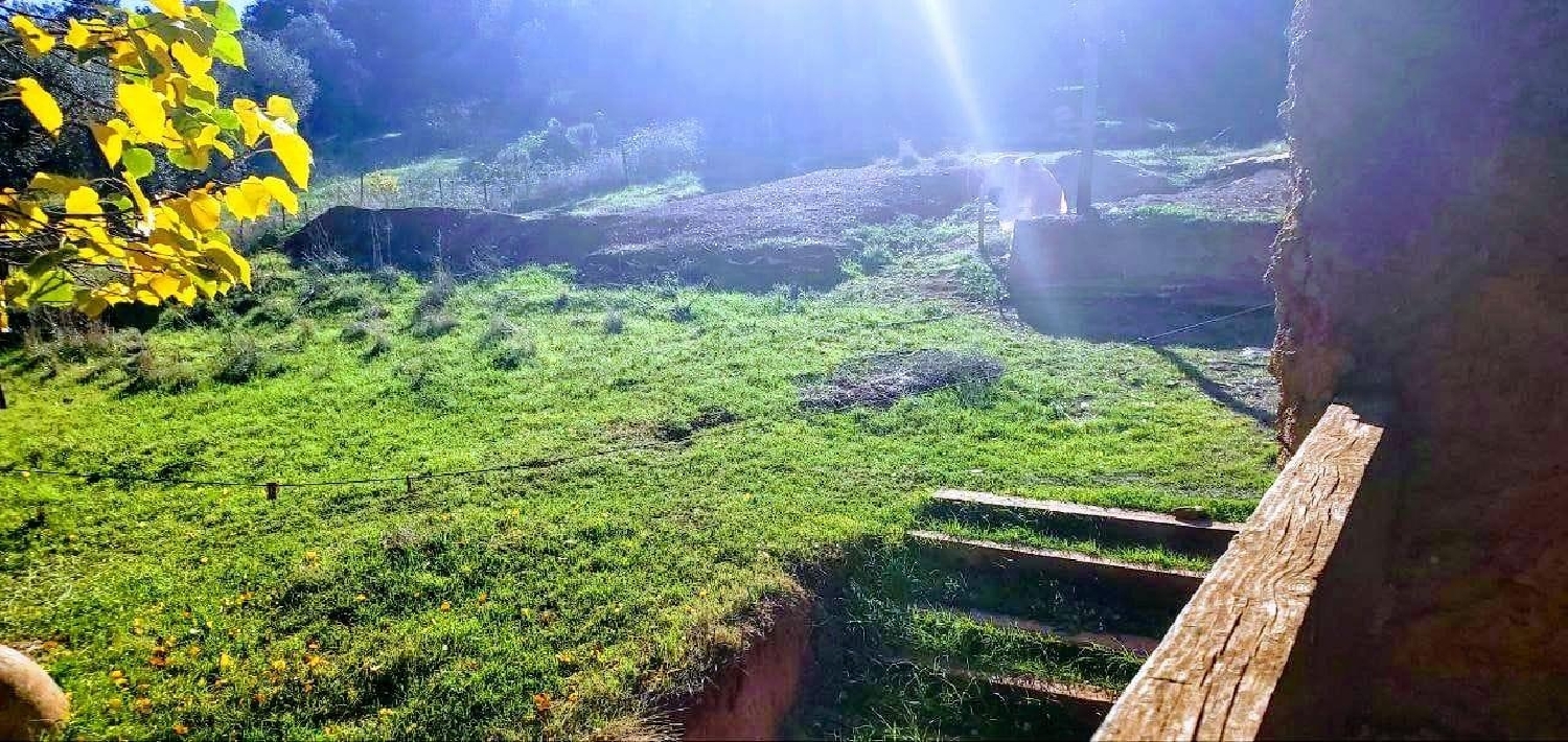  kaufen Landhaus San Nicolás Del Puerto Sierra Norte 7