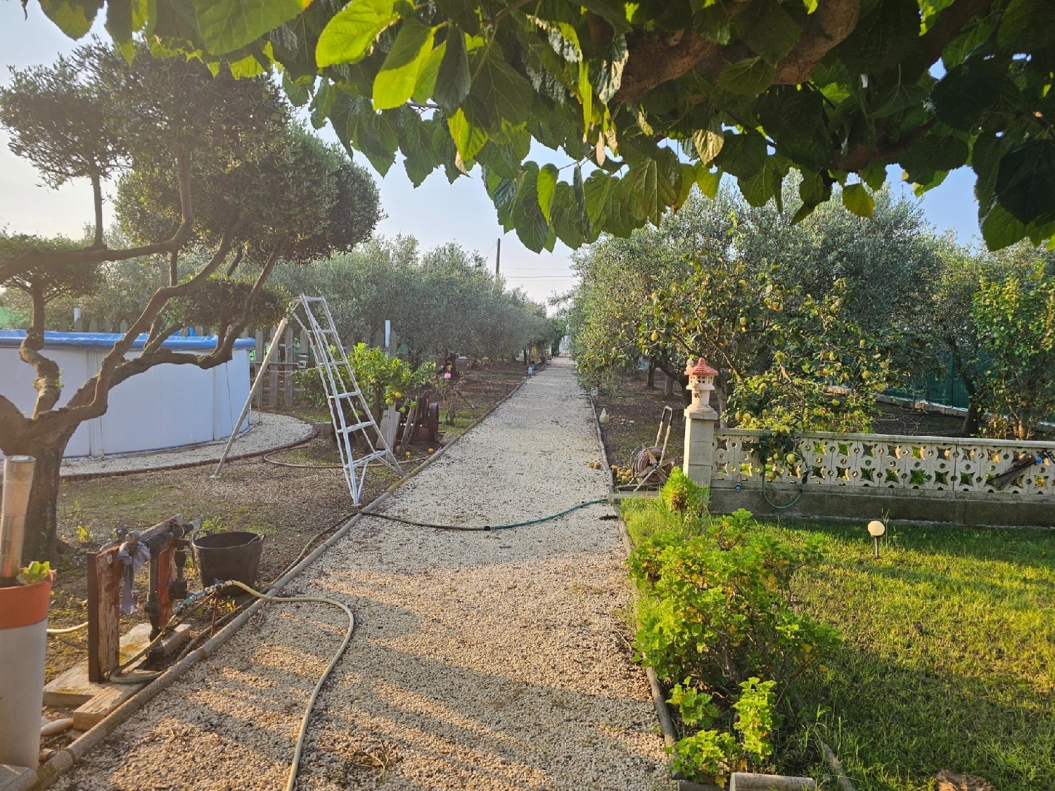 en venta finca rústica Sant Carles De La Ràpita Montsià 3