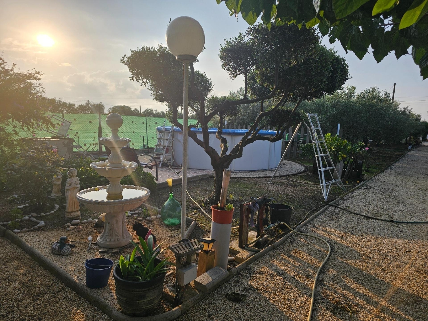 en venta finca rústica Sant Carles De La Ràpita Montsià 2