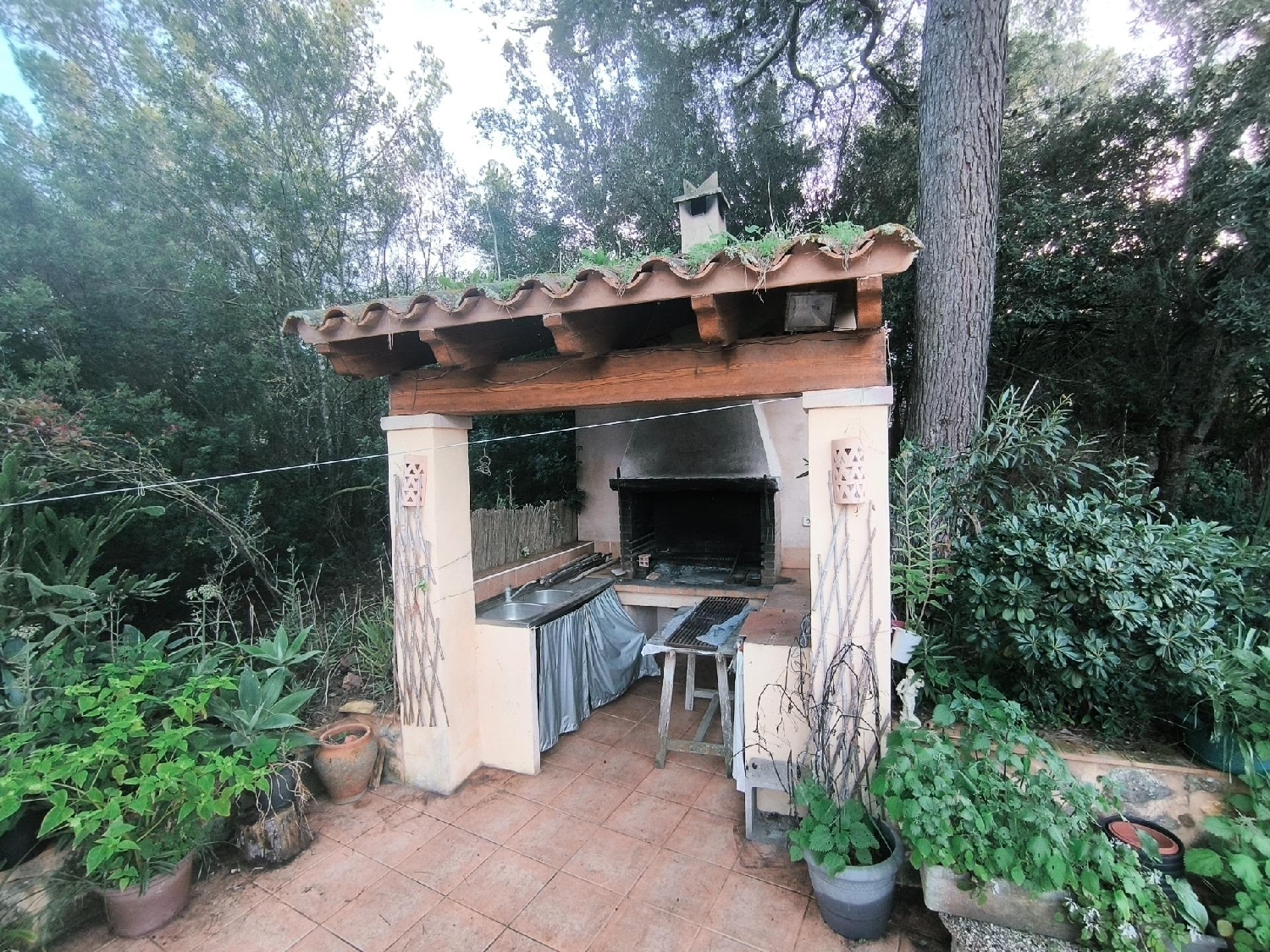  en venta finca rústica Sant Joan Pla (Es) 6