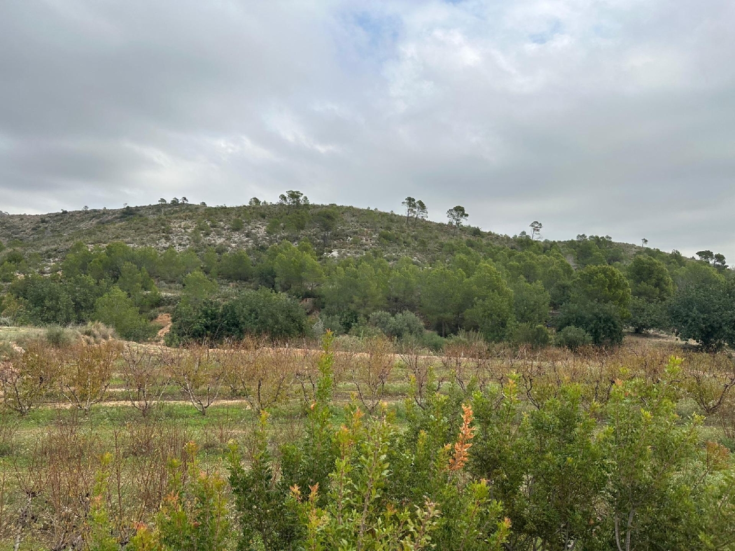  kaufen Landhaus Sant Martí De Tous Anoia 2
