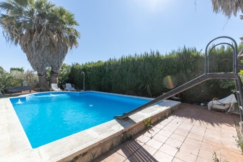 Santa Fe Baix Vinalopó boerderij foto 6337688