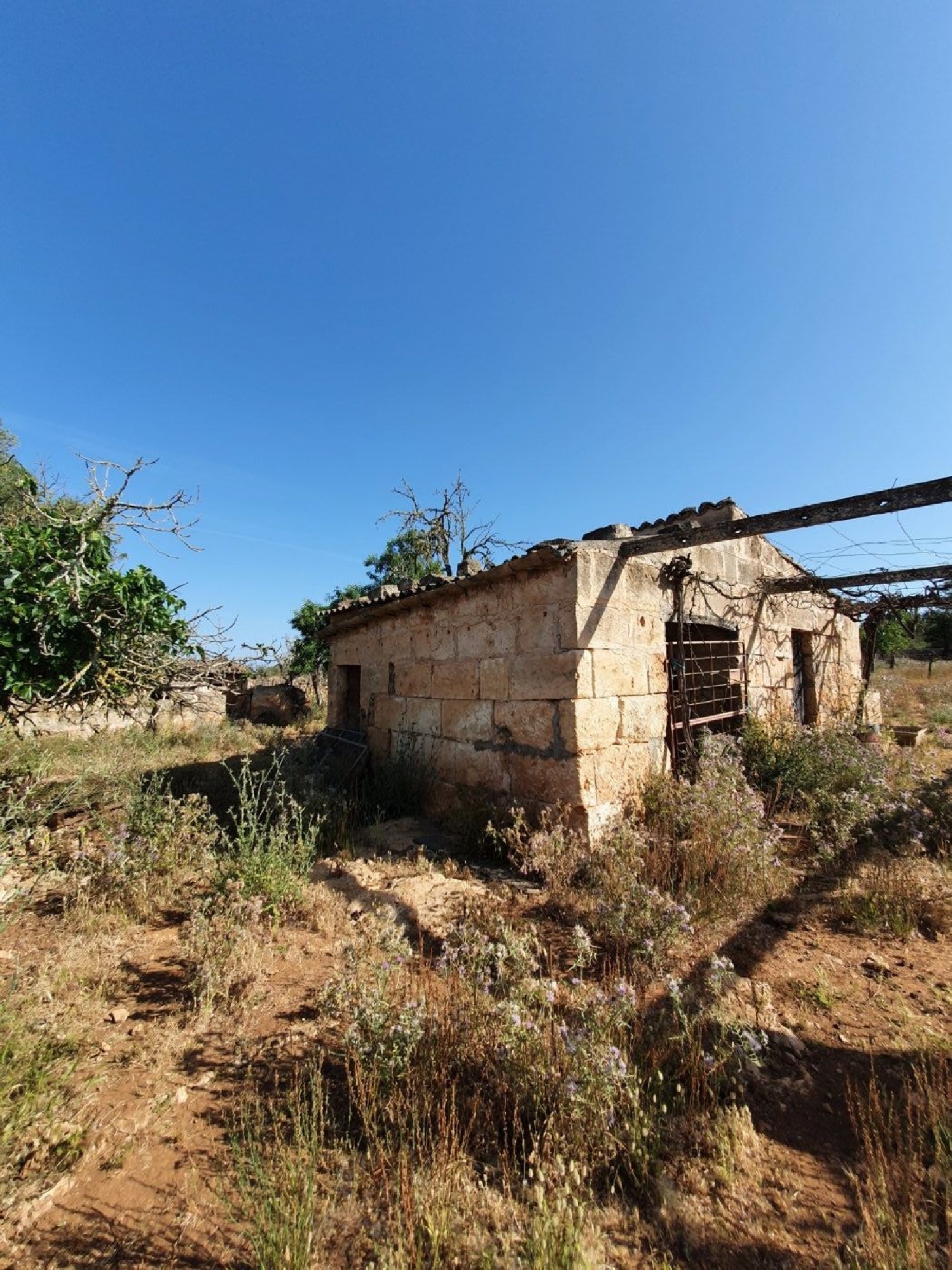  for sale country house Santa Margalida Nord 2