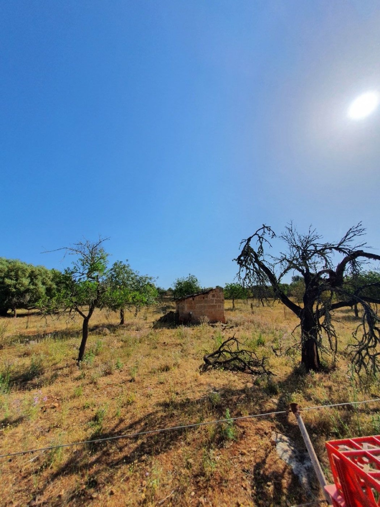  for sale country house Santa Margalida Nord 7