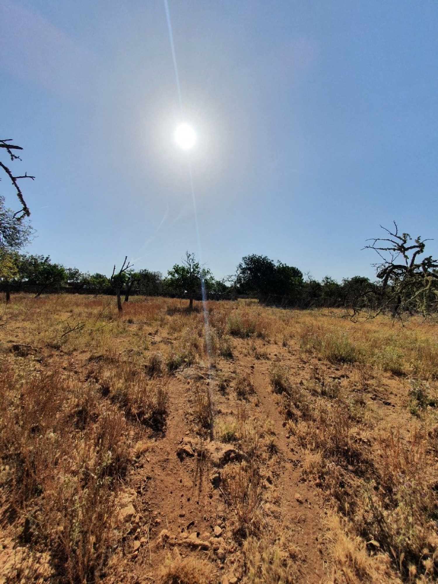  for sale country house Santa Margalida Nord 8