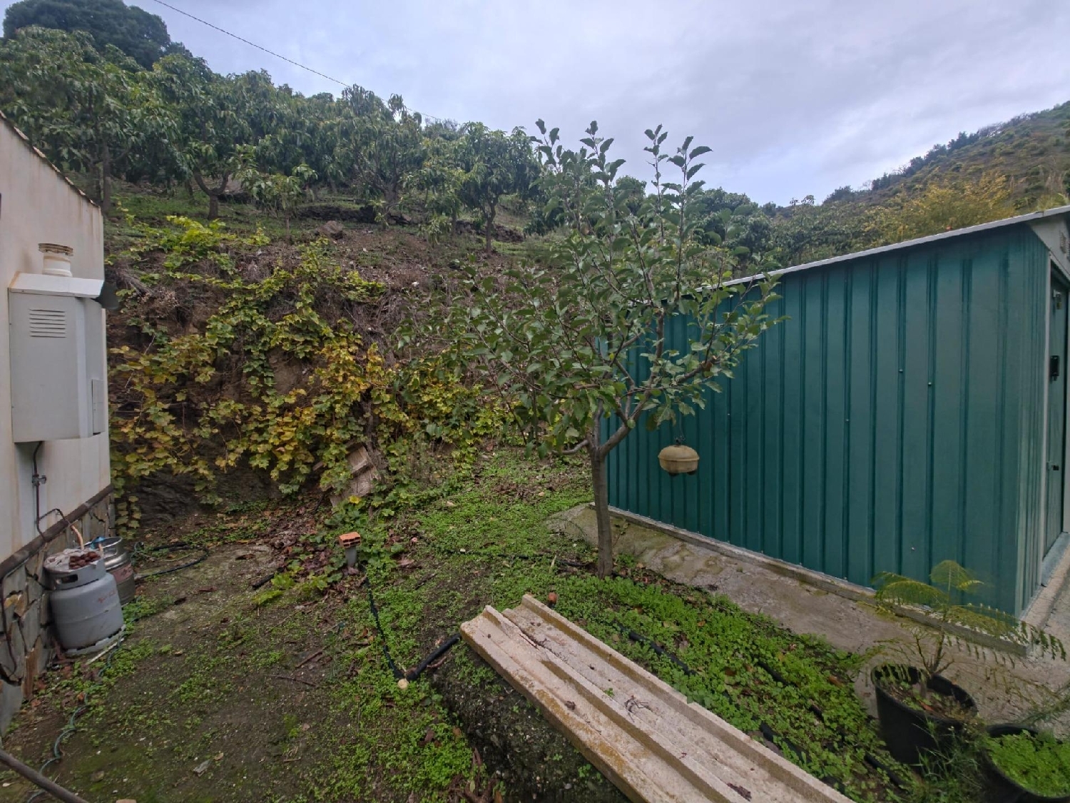 à vendre maison de campagne Sayalonga Axarquía 5