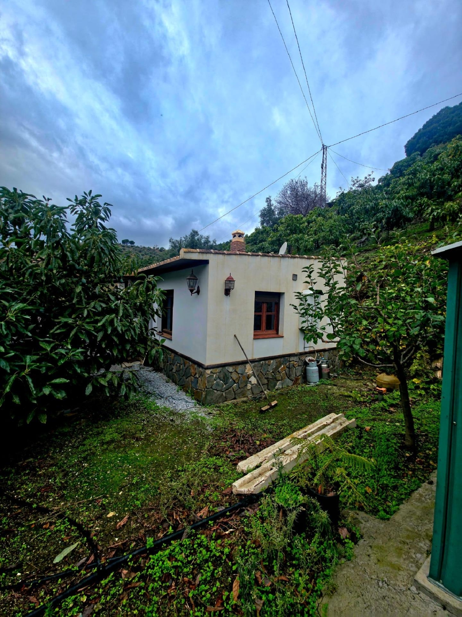 à vendre maison de campagne Sayalonga Axarquía 6