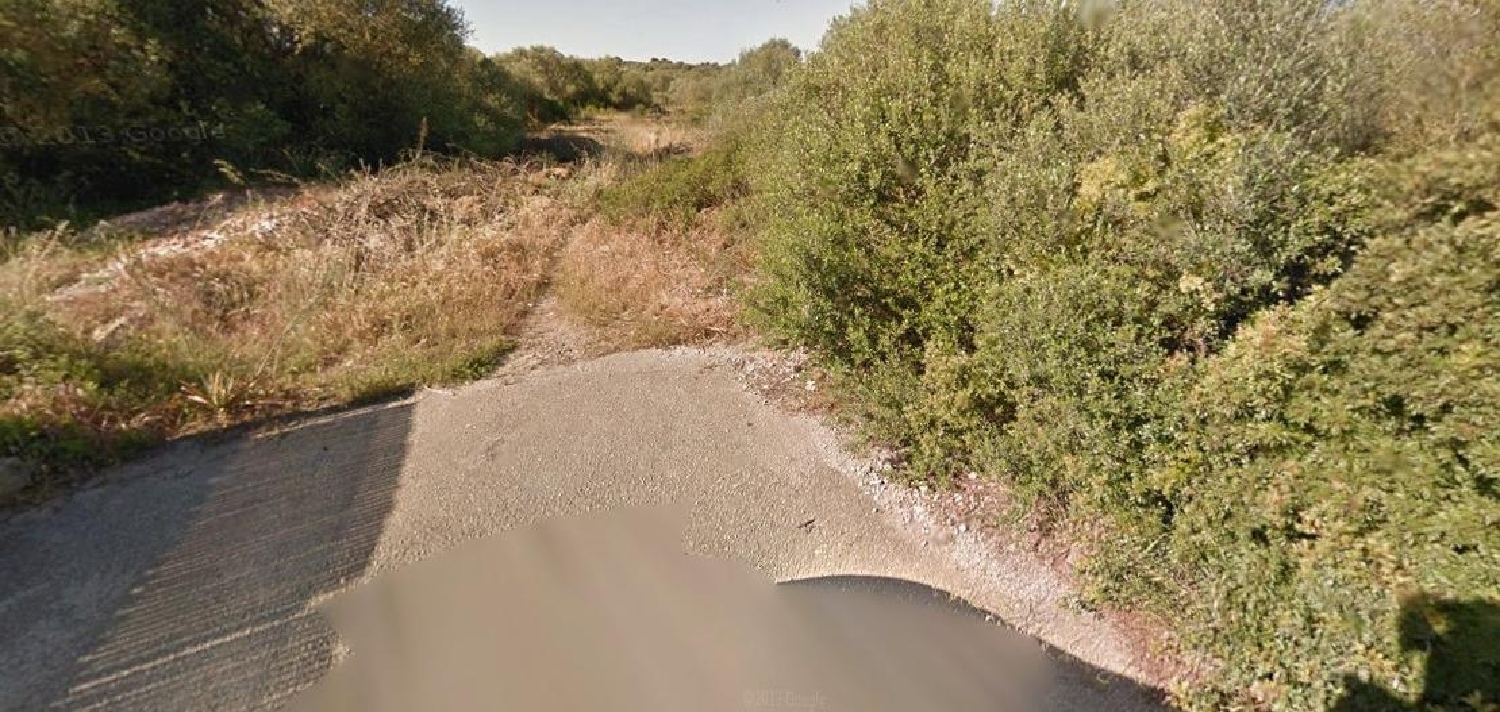 till salu hus på landet Son Gual Palma 2