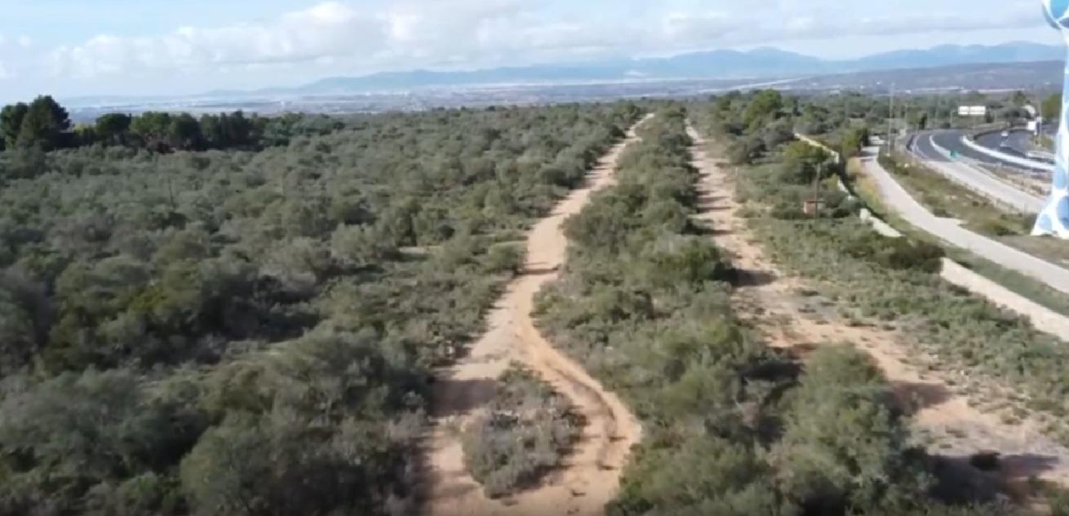 till salu hus på landet Son Gual Palma 7