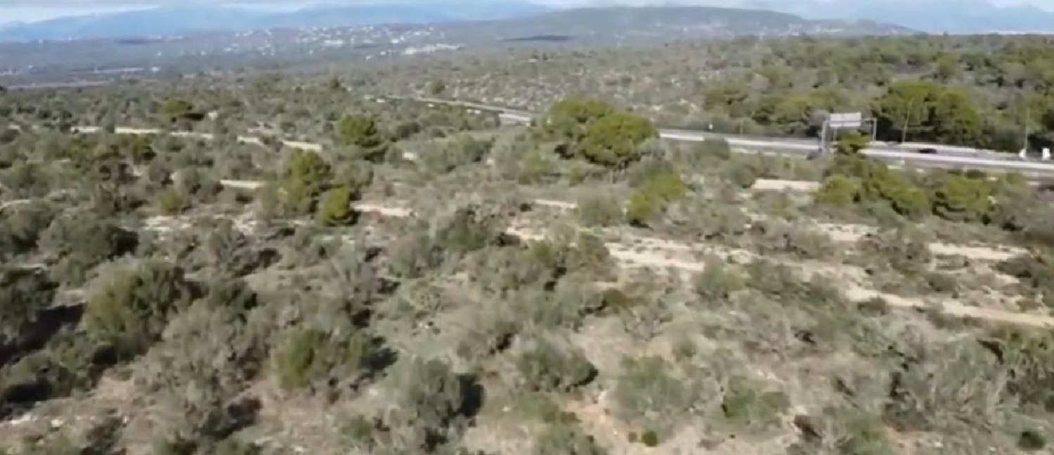 till salu hus på landet Son Gual Palma 6