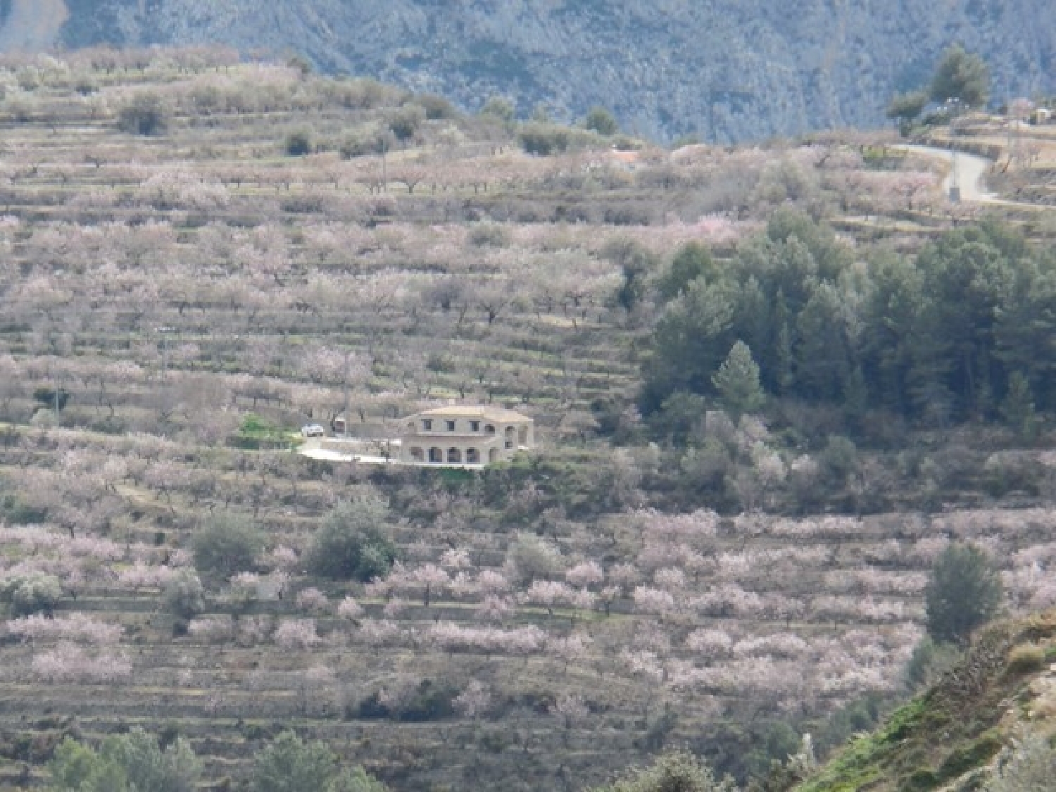  till salu hus på landet Tárbena Marina Baixa 5