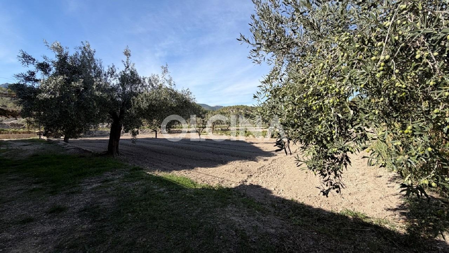  en venta finca rústica Tibi Alcoia 5