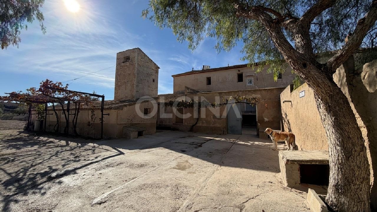  en venta finca rústica Tibi Alcoia 2