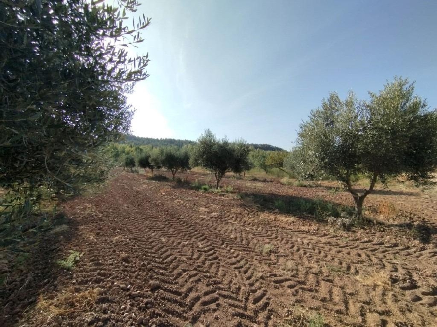  for sale country house Torre Del Compte Matarraña 7