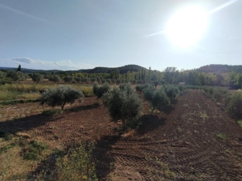 Torre Del Compte Matarraña maison de campagne foto 6339873