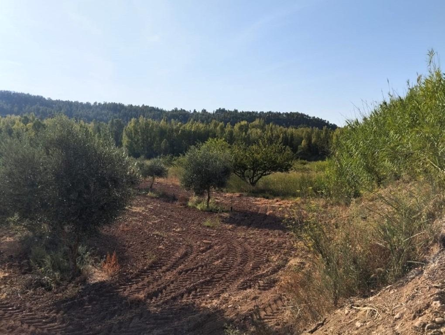  for sale country house Torre Del Compte Matarraña 5