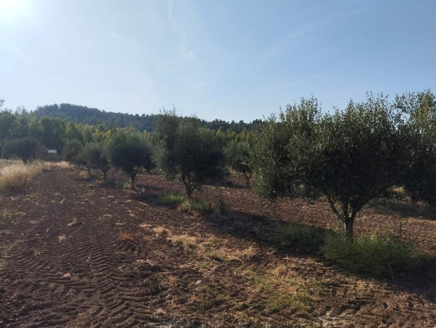  for sale country house Torre Del Compte Matarraña 6