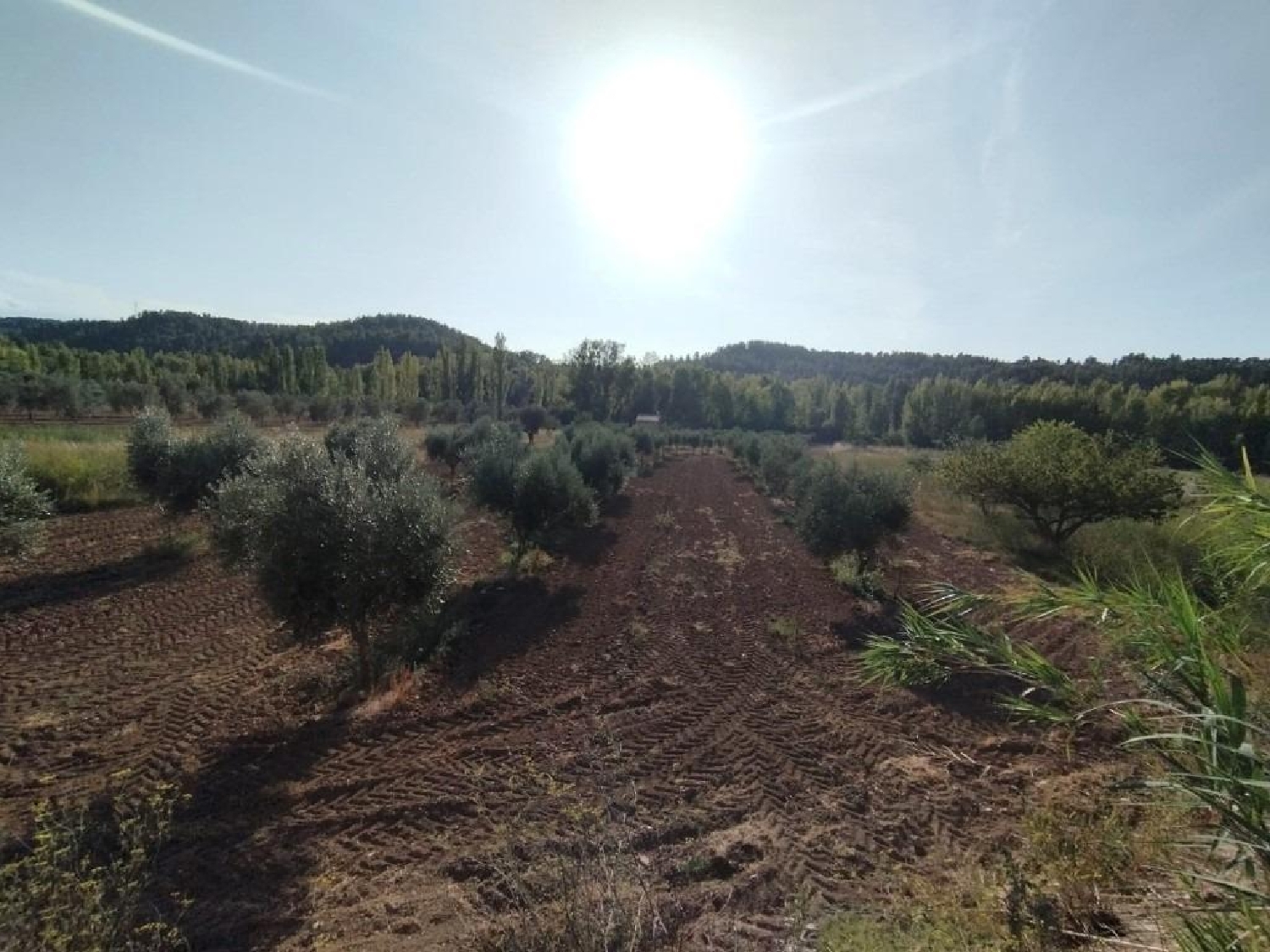  for sale country house Torre Del Compte Matarraña 2